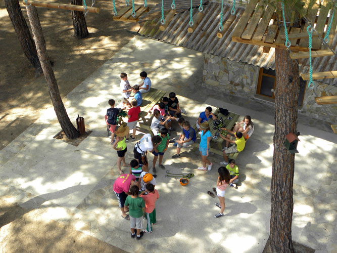 Monkey Park Adventure School Groups 1